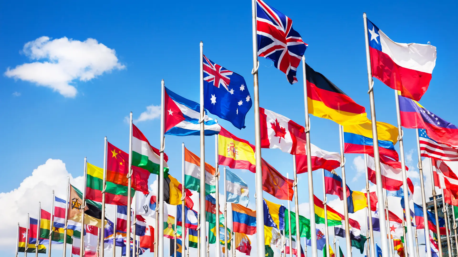 Regulatory Roundup Newsletter preview