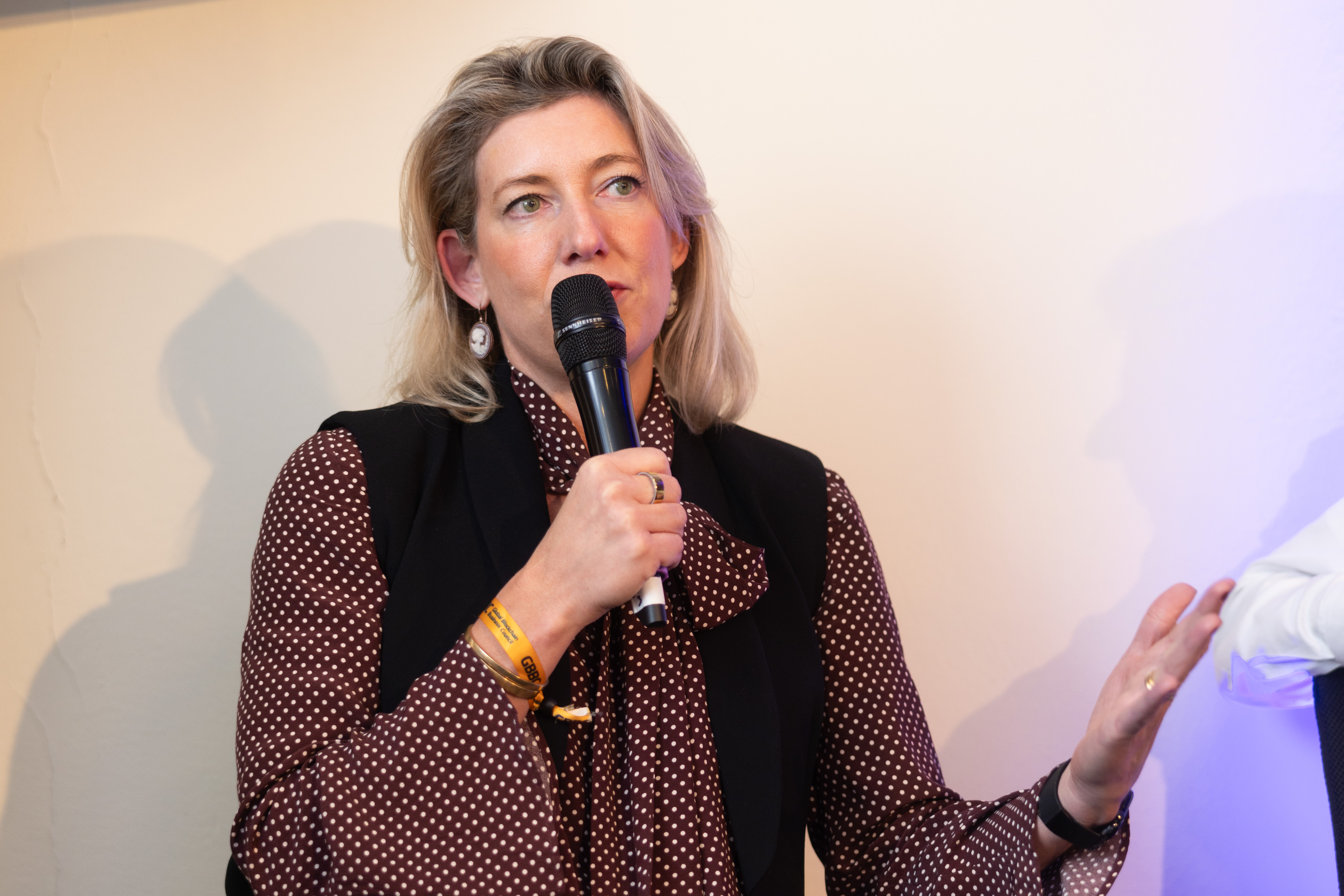 Blockchain Central Davos (January 2025) photo 302