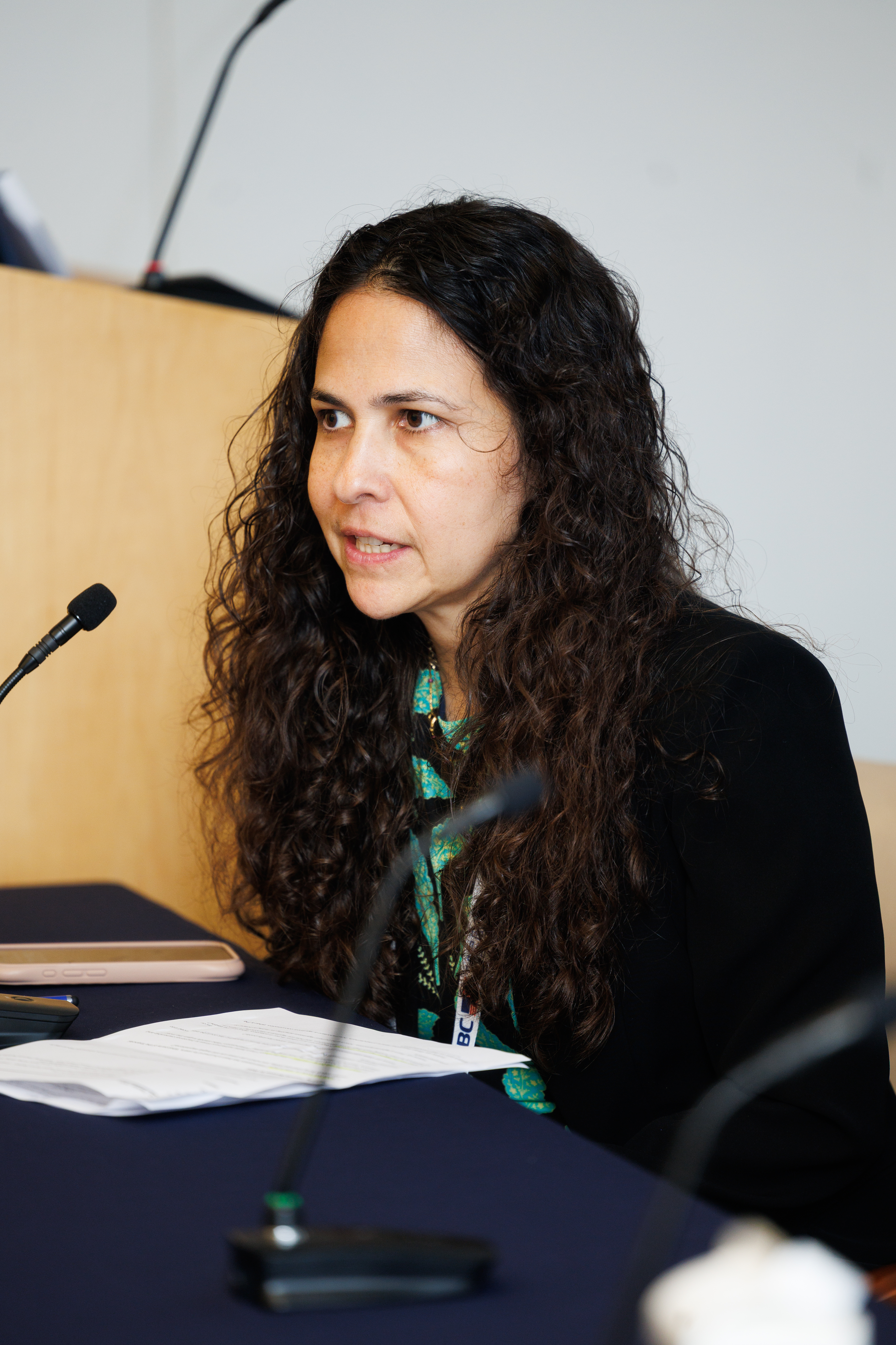 Blockchain Central UNGA (September 2025) photo 65